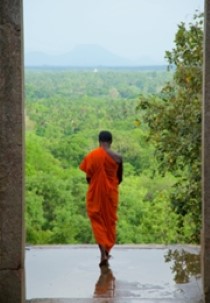 Wild Sri Lanka